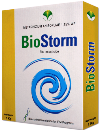 Biostorm Bio-Insecticide - Metarhizium anisopliae-Based