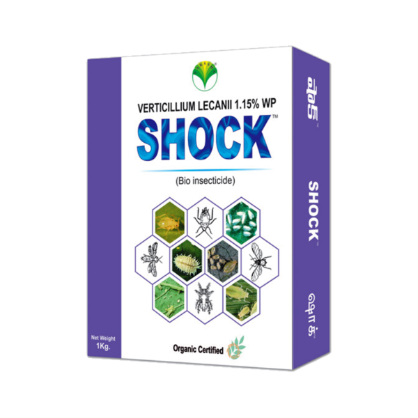 Shock Bio-Insecticide - Verticillium lecanii-Based
