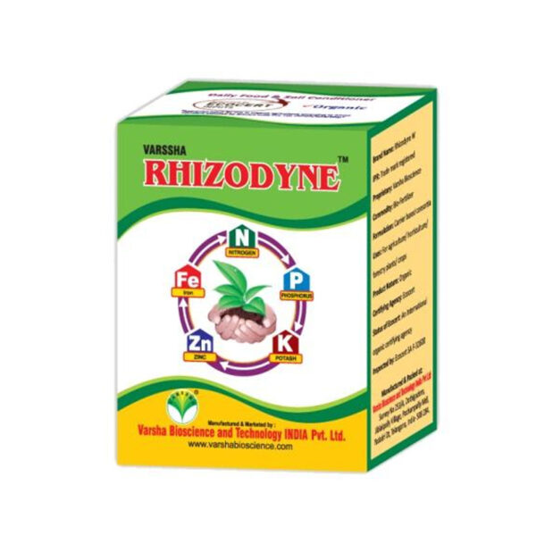 rhizodyne