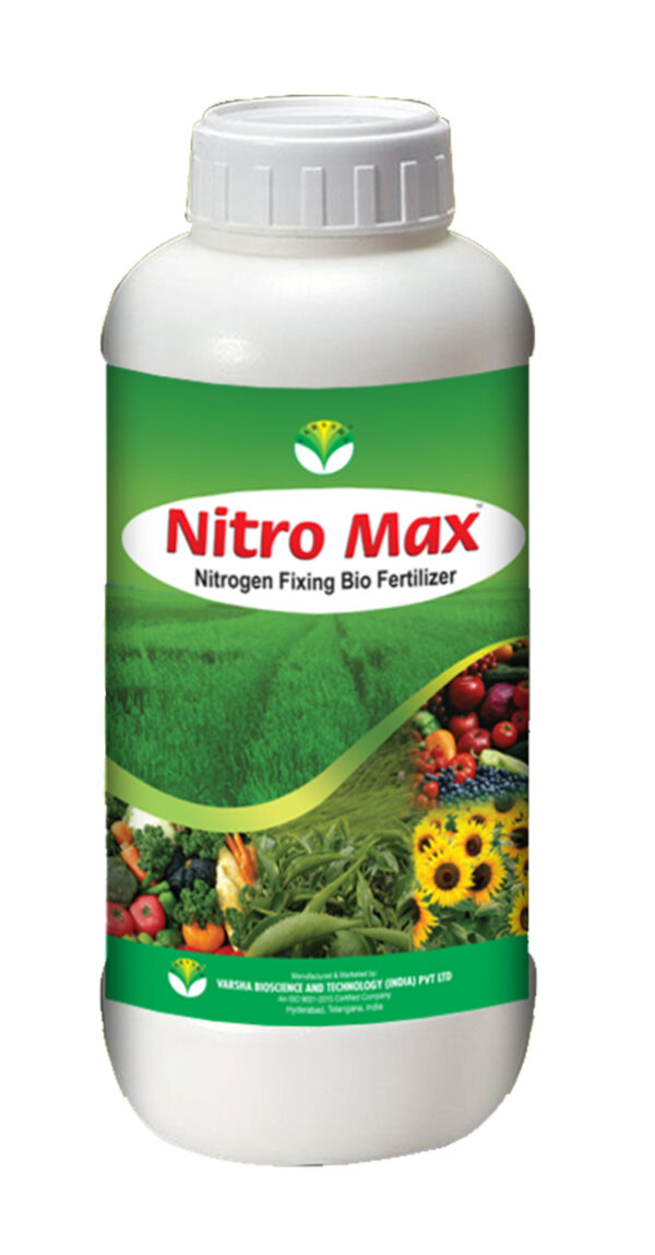 Nitromax 300 pixels per cm scaled